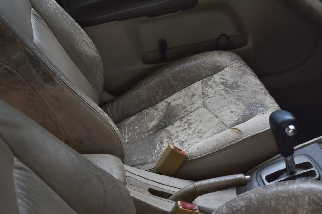 Damaged car upholstery, prime habitat for mild and mildew in flooded cars